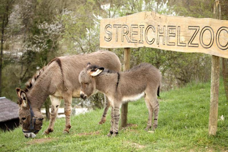 Отель Erlebnisgastronomie Lochmuhle Eigeltingen Экстерьер фото